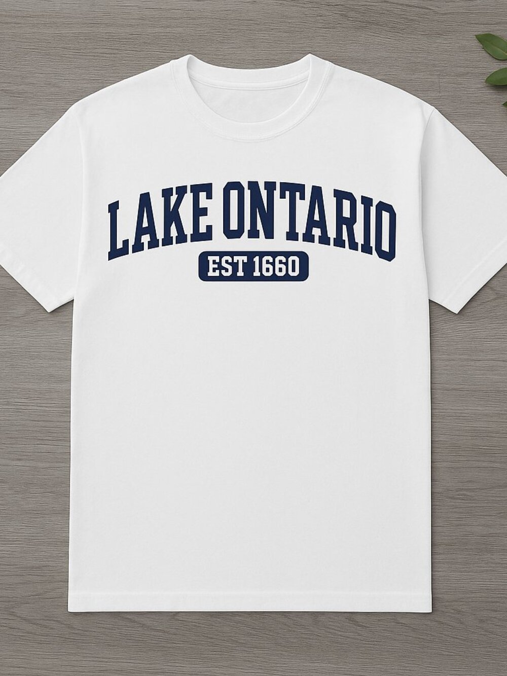 Lake Ontario Est 1660 Collegiate Varsity Graphic Tee Simple Classic